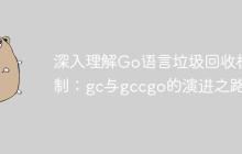 深入理解Go语言垃圾回收机制：gc与gccgo的演进之路