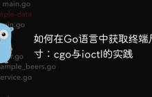 如何在Go语言中获取终端尺寸：cgo与ioctl的实践