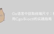 Go语言中获取终端尺寸：利用Cgo与ioctl的实践指南