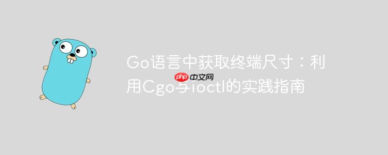 Go语言中获取终端尺寸：利用Cgo与ioctl的实践指南

