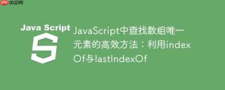 JavaScript中查找数组唯一元素的高效方法：利用indexOf与lastIndexOf