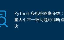 PyTorch多标签图像分类：批量大小不一致问题的诊断与解决