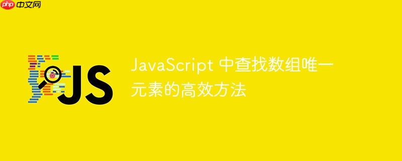 JavaScript 中查找数组唯一元素的高效方法
