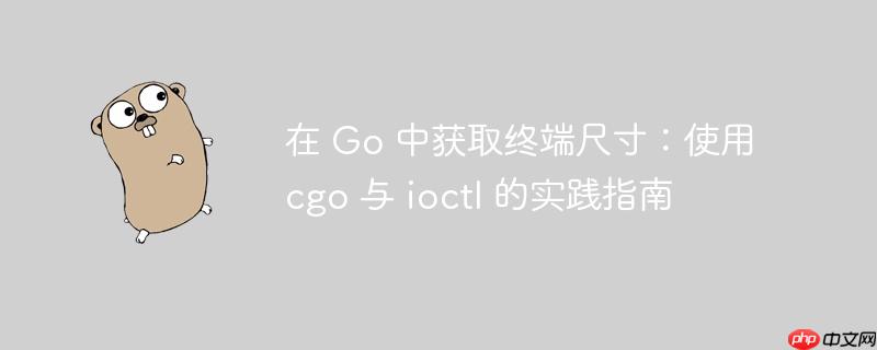 在 Go 中获取终端尺寸：使用 cgo 与 ioctl 的实践指南
