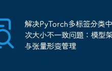 解决PyTorch多标签分类中批次大小不一致问题：模型架构与张量形变管理