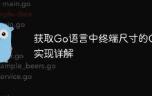 获取Go语言中终端尺寸的Cgo实现详解