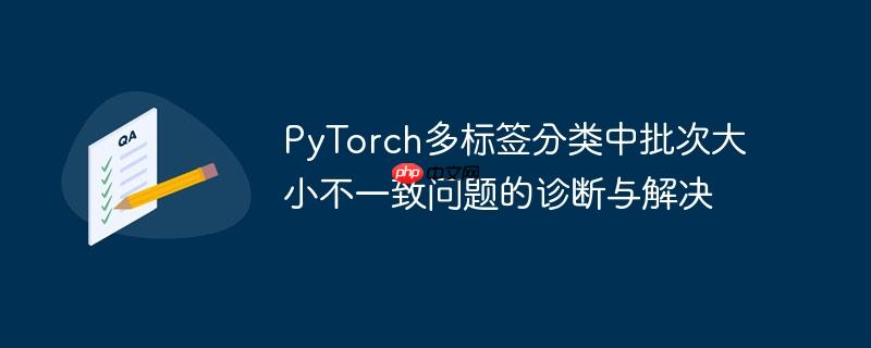 PyTorch多标签分类中批次大小不一致问题的诊断与解决
