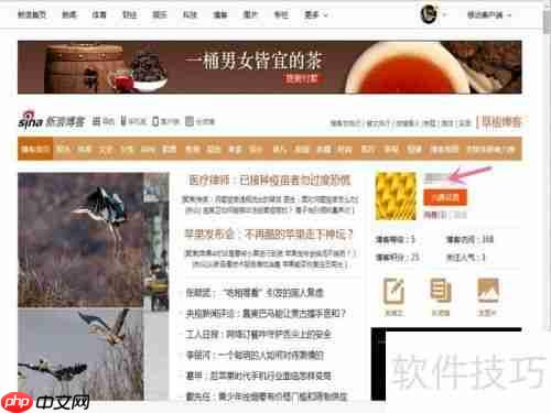 新手上路：如何在新浪网博客发布博文