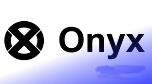 Onyx Protocol 是什么？XCN代币分配、2025年价格预测