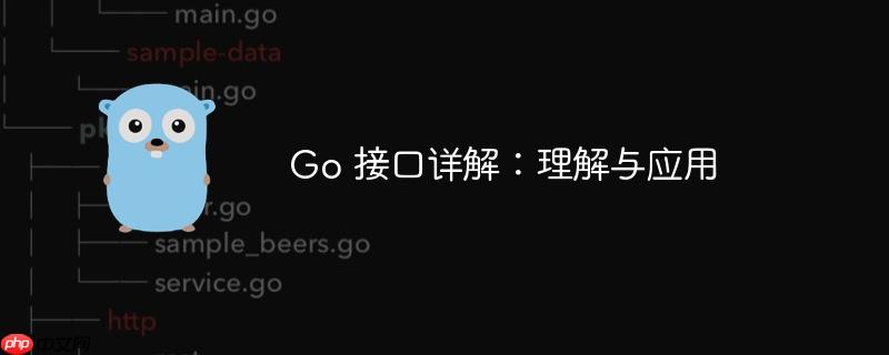 Go 接口详解：理解与应用-小浪学习网