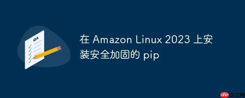在 Amazon Linux 2023 上安裝安全加固的 pip-小浪學習網