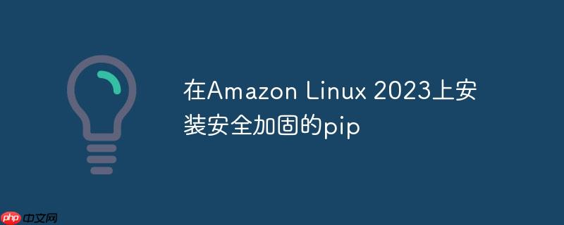 在Amazon Linux 2023上安装安全加固的pip