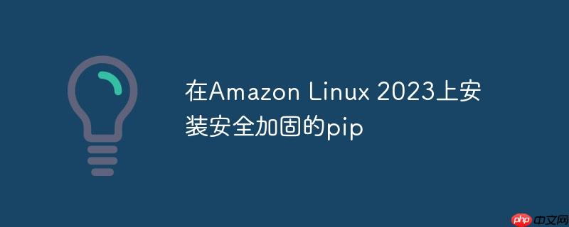 在Amazon Linux 2023上安装安全加固的pip-小浪学习网