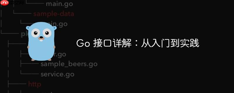 go 接口详解：从入门到实践