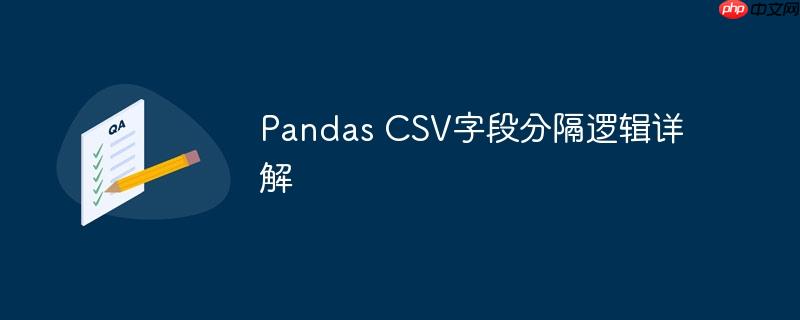 Pandas CSV字段分隔逻辑详解-小浪学习网