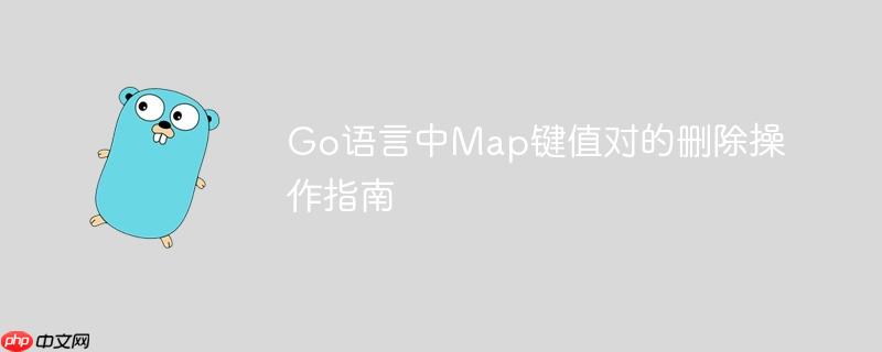 Go语言中Map键值对的删除操作指南
