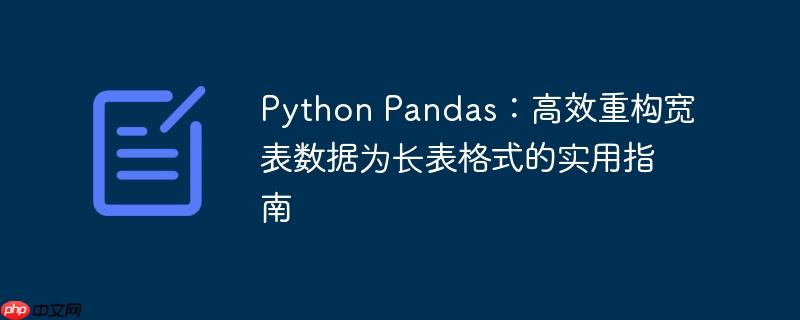 Python Pandas：高效重构宽表数据为长表格式的实用指南-小浪学习网