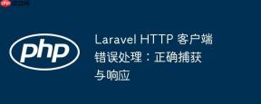 Laravel HTTP 客户端错误处理：正确捕获与响应