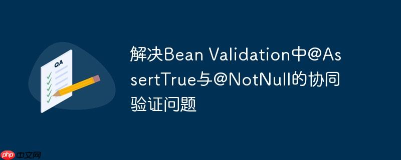 解决Bean Validation中@AssertTrue与@NotNull的协同验证问题-小浪学习网