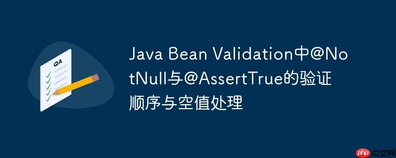 Java Bean Validation中@NotNull与@AssertTrue的验证顺序与空值处理-小浪学习网