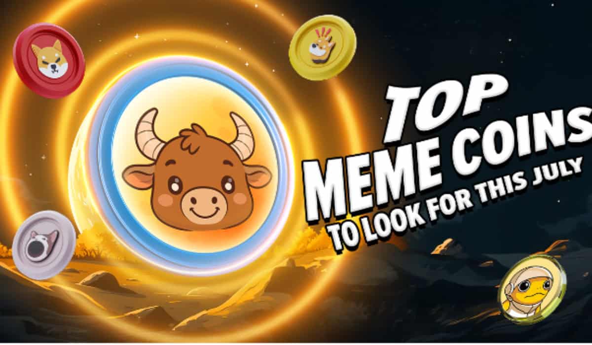 2025年加密货币：为什么MoonBull的白名单是必争之地