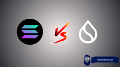 SUI Price vs. Solana: Market Hype and the Quest for Crypto Supremacy