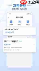 湖南税务app能不能开电子发票