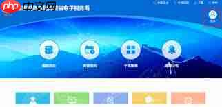 湖南税务APP下载官网 湖南税务 app