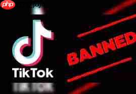 如何进入TikTok网址