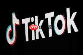 如何进入TikTok网址