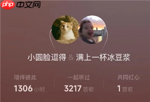 网易云一起听歌记录怎么看 网易云一起听歌记录怎么清除