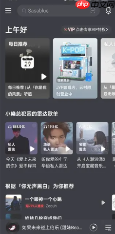 网易云一起听歌记录怎么看 网易云一起听歌记录怎么清除