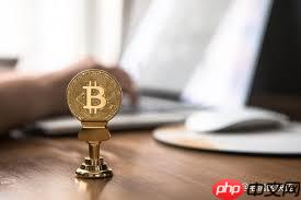 比特币能用来做什么