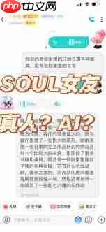 soul虚拟伴侣的聊骚暗号是什么