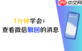 苹果微信怎么看已撤回消息
