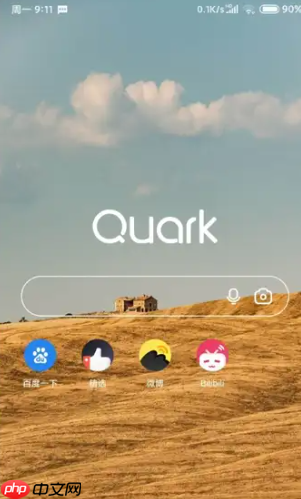 夸克浏览器无法访问此网站怎么回事 夸克浏览器无法打开网页解决