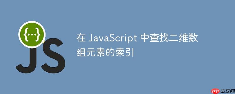 在 JavaScript 中查找二维数组元素的索引-小浪学习网