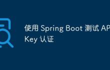 使用 Spring Boot 測試 API Key 認(rèn)證