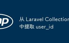從 Laravel Collection 中提取 user_id