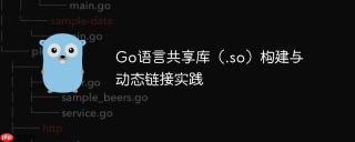 Go语言共享库（.so）构建与动态链接实践