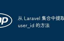 從 Laravel 集合中提取 user_id 的方法