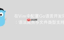 在Vim中配置Go语言开发环境：语法高亮与文件类型支持