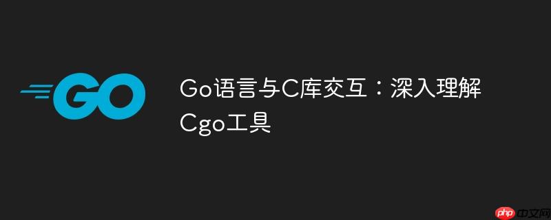 Go语言与C库交互：深入理解Cgo工具
