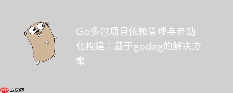 Go多包项目依赖管理与自动化构建：基于godag的解决方案
