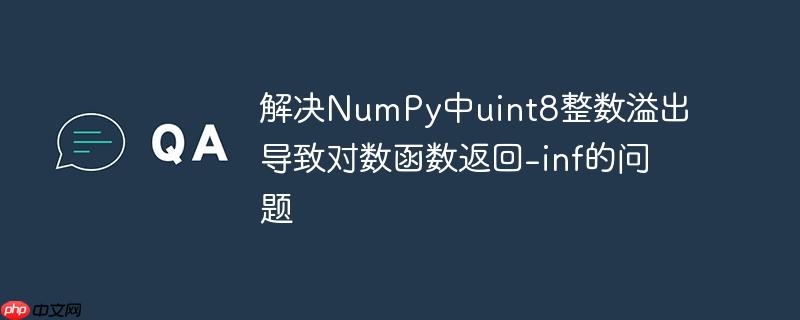 解决NumPy中uint8整数溢出导致对数函数返回-inf的问题-小浪学习网