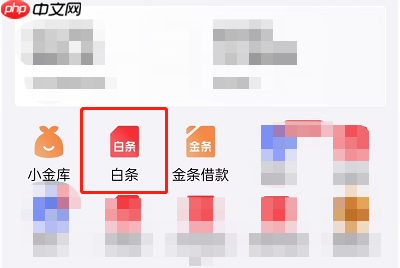 微信白条怎么开通？附开通步骤图！手把手教你开通
