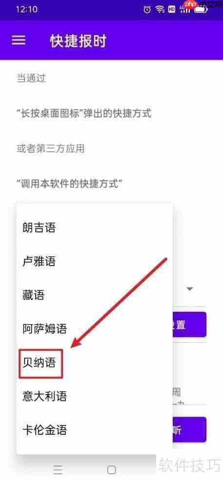 时间哨兵：贝纳语设置指南
