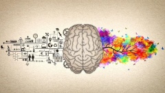 Why We Need Double Literacy To Life In A Hybrid World