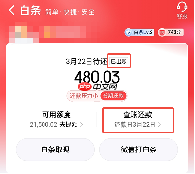 京东白条怎么协商延期还款？解锁延期还款的方法很简单（图）