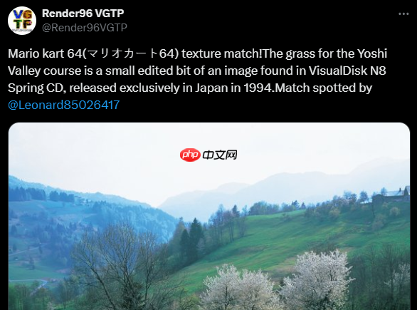 高玩都在忙这个 老外找到《马里奥赛车64》难辨草地纹理原型